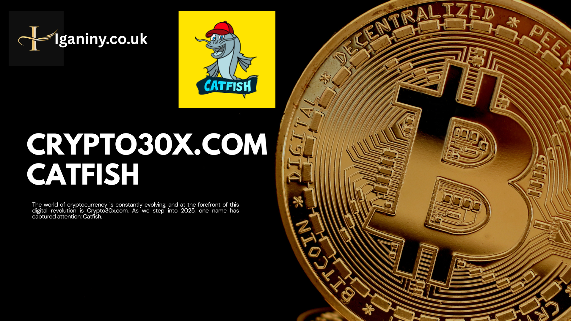 Mystery Crypto30x.com catfish: A Comprehensive Look