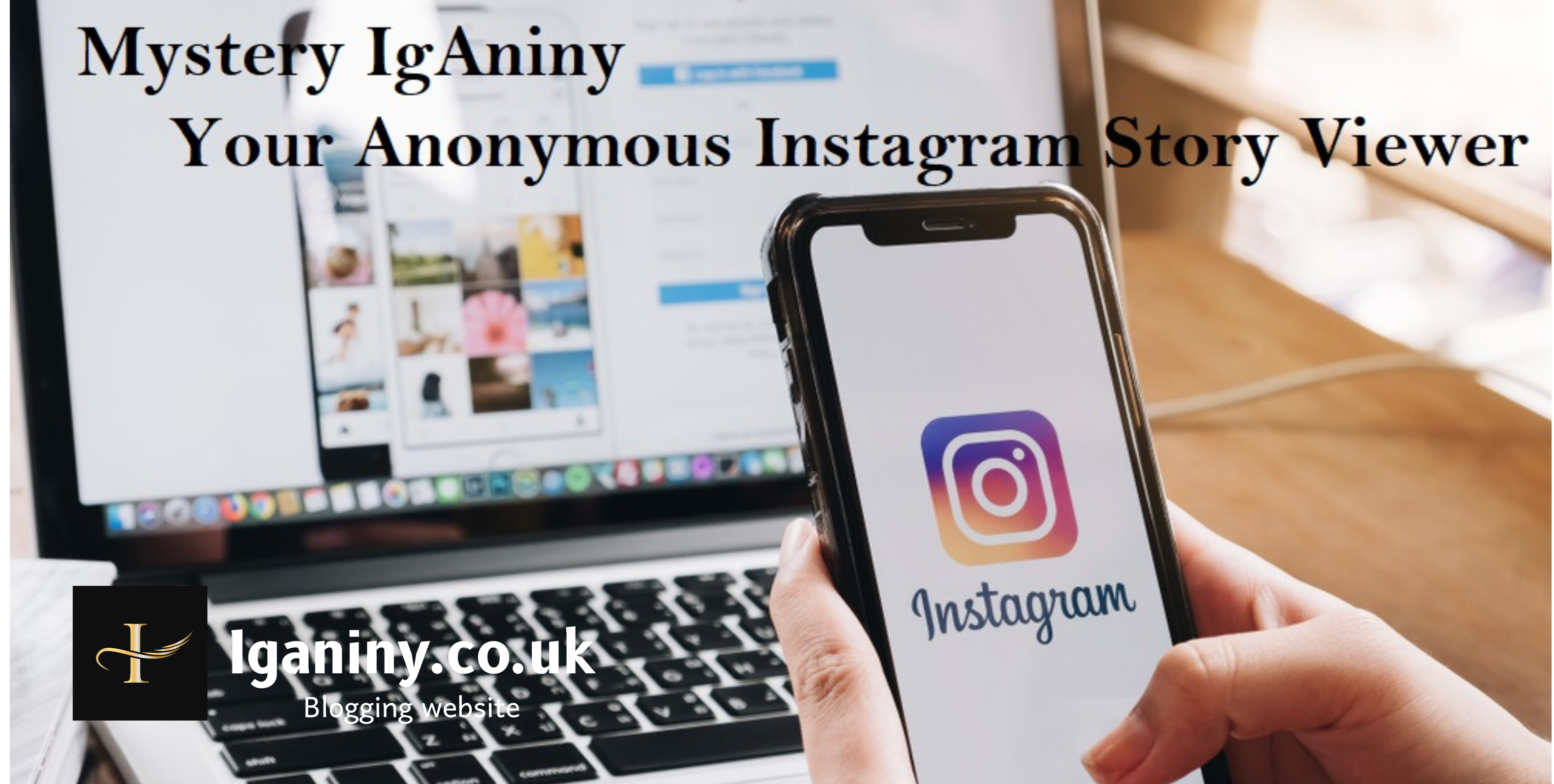 Mystery IgAniny: Your Anonymous Instagram Story Viewer